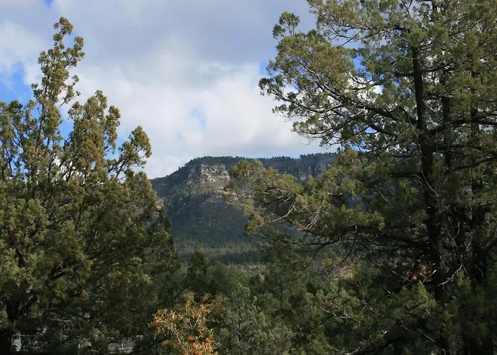 Beeline Nocleg ze śniadaniem Pine